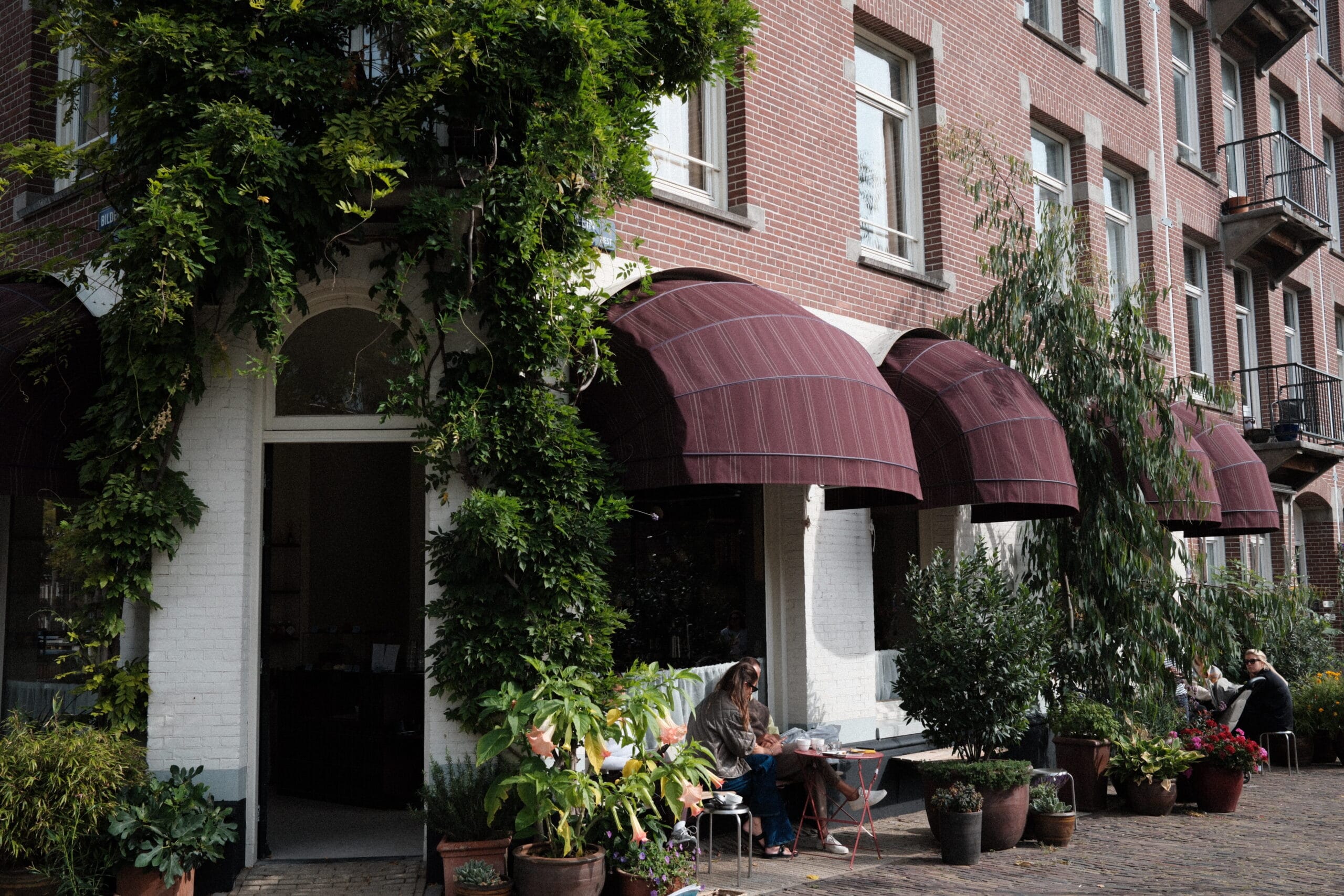 Cafe Coos